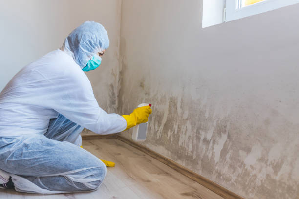 Mold Remediation specialist working in Garland